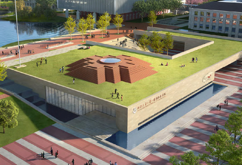 浙大国际医学院