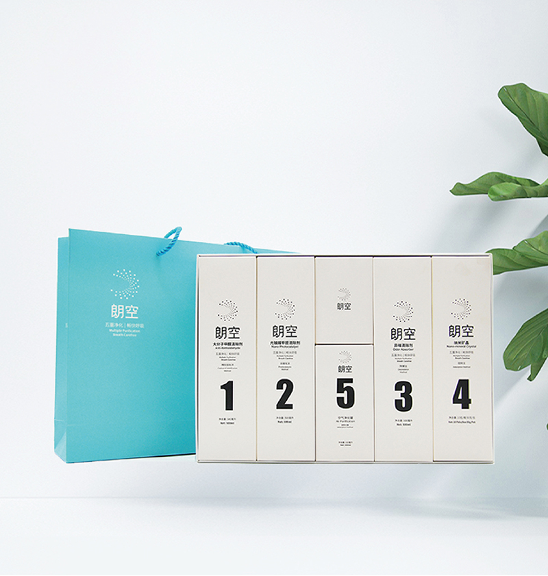 强力除甲醛自用套装